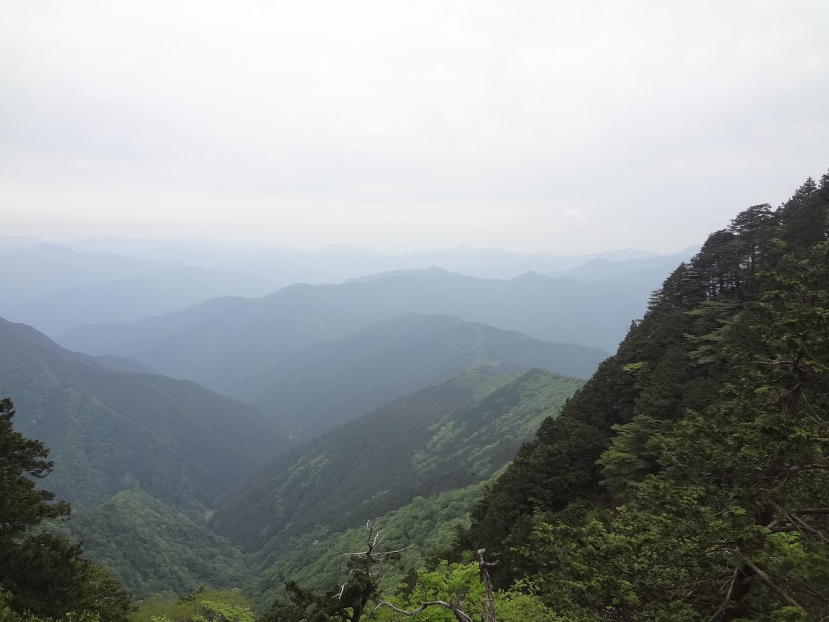f:id:usausacafe:20190603124446j:plain f:id:usausacafe:20190603124446j:plain