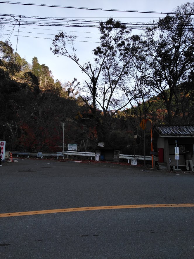 f:id:usausacafe:20191203143232j:plain f:id:usausacafe:20191203143232j:plain