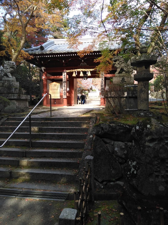 f:id:usausacafe:20191203145403j:plain f:id:usausacafe:20191203145403j:plain