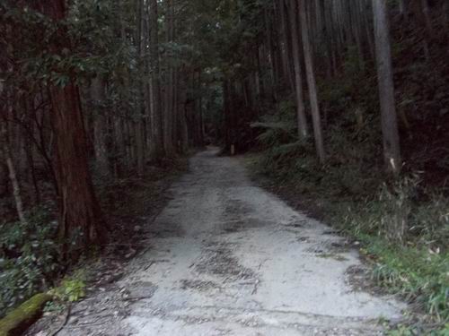 f:id:usausacafe:20201029111114j:plain f:id:usausacafe:20201029111114j:plain