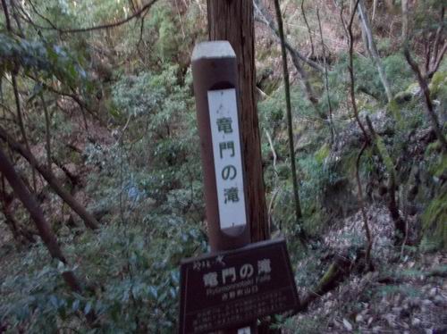 f:id:usausacafe:20201029111207j:plain f:id:usausacafe:20201029111207j:plain