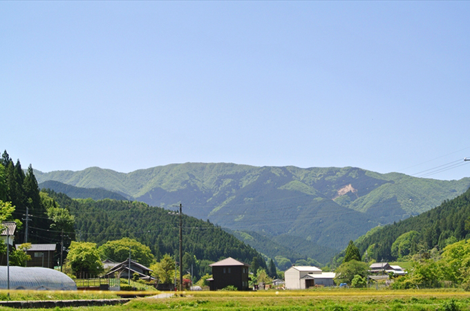 f:id:usausacafe:20201116112740j:plain f:id:usausacafe:20201116112740j:plain
