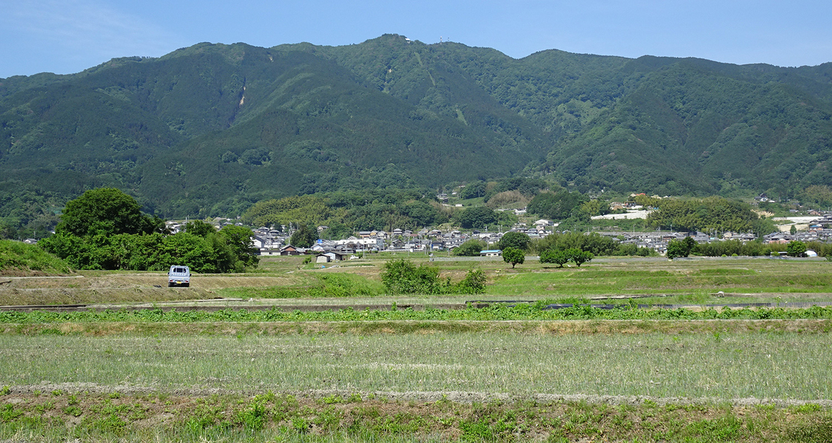f:id:usausacafe:20210412115920j:plain