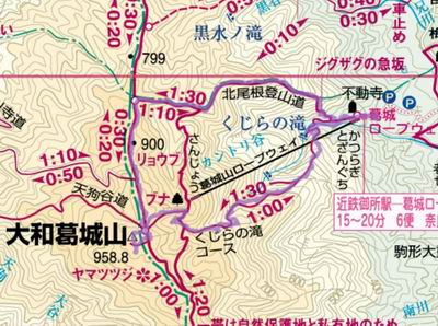 f:id:usausacafe:20210414112109j:plain