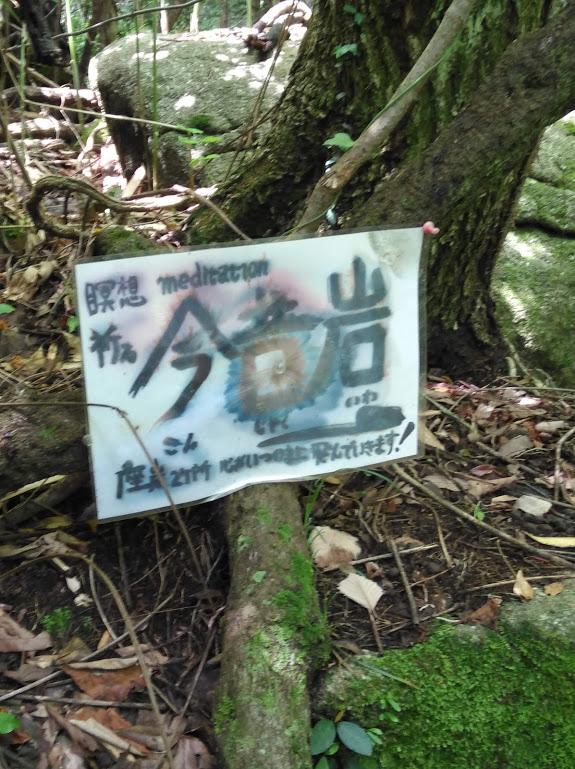 f:id:usausacafe:20210623110957j:plain