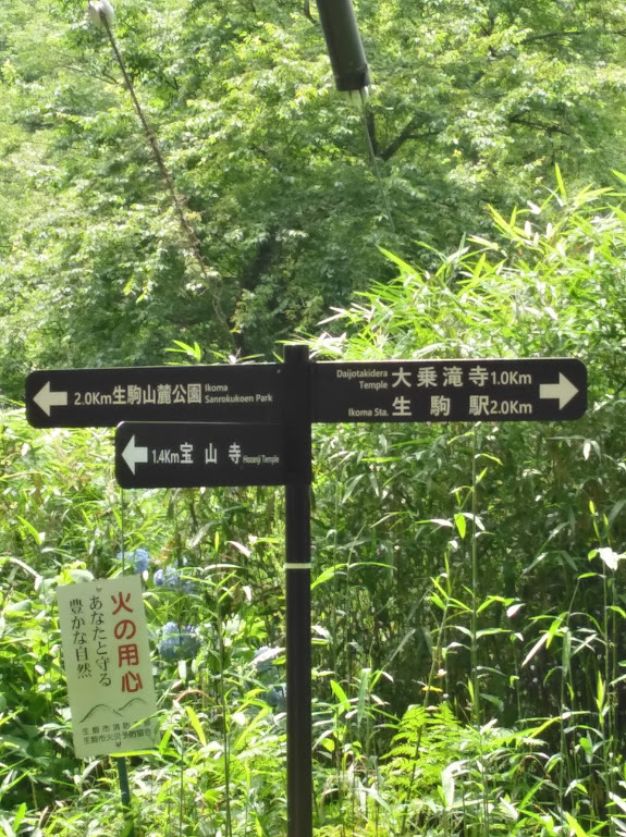 f:id:usausacafe:20210623114108j:plain