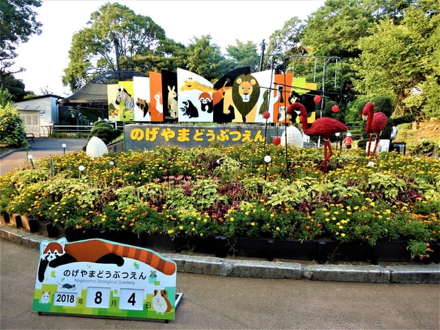 2018・8・4 よこはま夜の動物園2018 ナイトのげやま - 今日のころころこころ