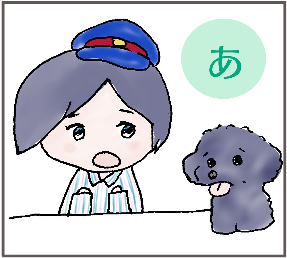 f:id:usausamode:20181121140519j:plain f:id:usausamode:20181121140519j:plain