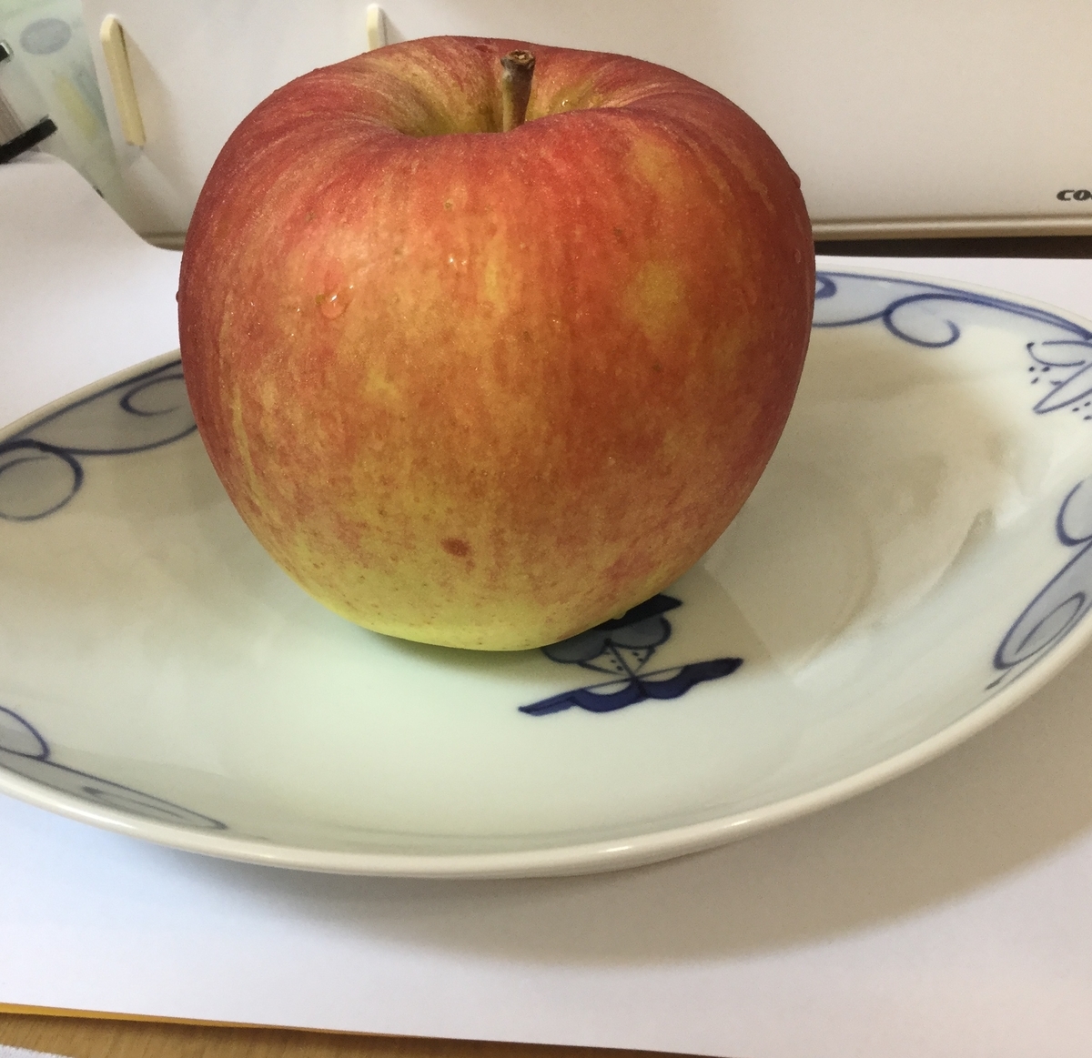 f:id:usausamode:20190902134535j:plain