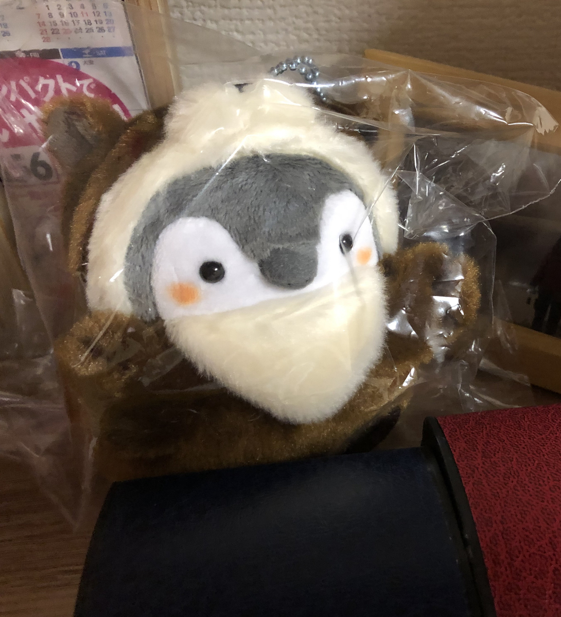 f:id:usausamode:20210309170807j:plain