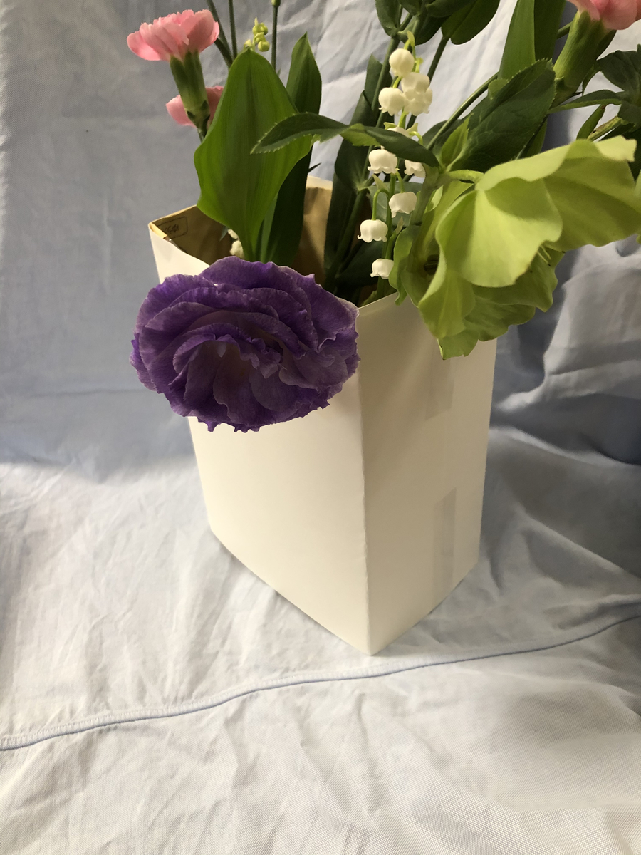 f:id:usausamode:20210420171253j:plain