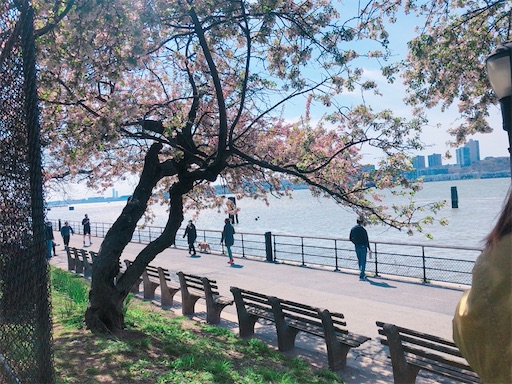 f:id:usawanco:20200519193008j:image f:id:usawanco:20200519193008j:image