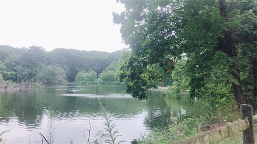 f:id:usawanco:20201111214142j:image f:id:usawanco:20201111214142j:image