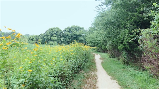 f:id:usawanco:20201111214605j:image f:id:usawanco:20201111214605j:image