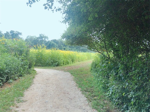 f:id:usawanco:20201111214621j:image f:id:usawanco:20201111214621j:image