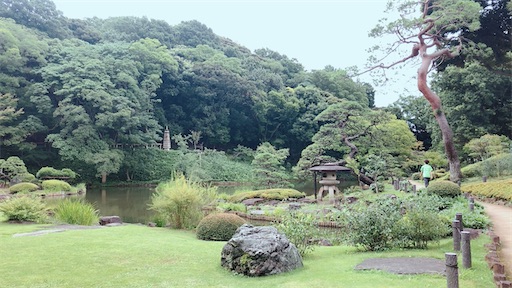 f:id:usawanco:20201128091458j:image f:id:usawanco:20201128091458j:image
