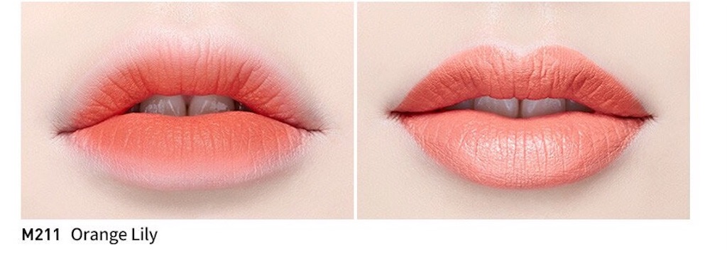 f:id:usayoshi:20181113202218j:image