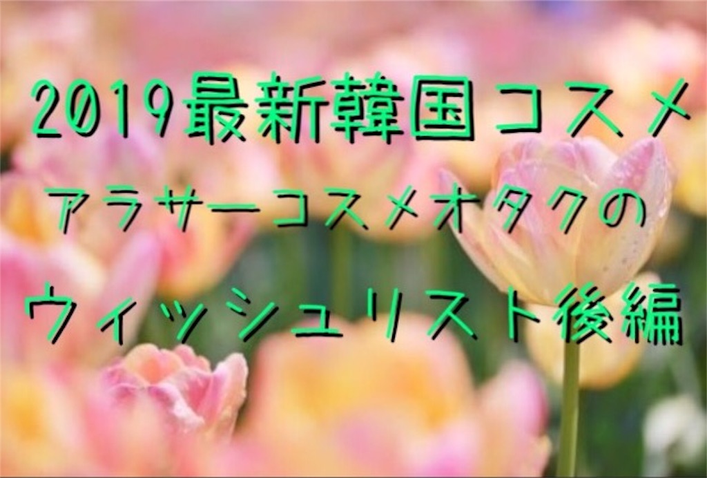 f:id:usayoshi:20190301214459j:plain