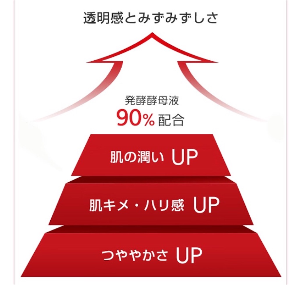 f:id:usayoshi:20191109134150j:plain