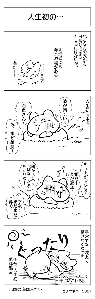 f:id:usayusadosa:20210822123448p:plain