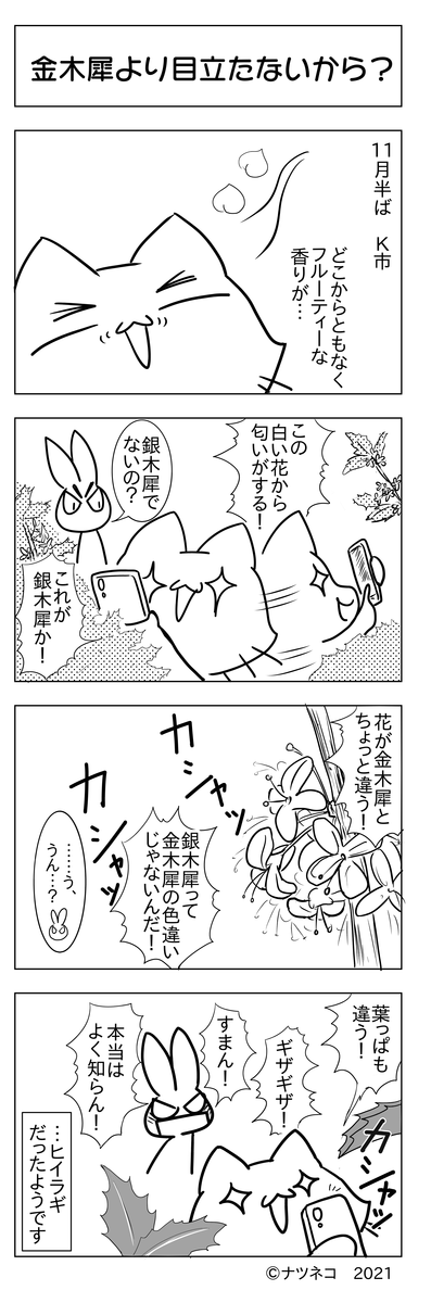 f:id:usayusadosa:20211208145228p:plain