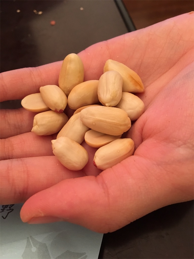 f:id:usbbqgrill:20191119031504j:image f:id:usbbqgrill:20191119031504j:image