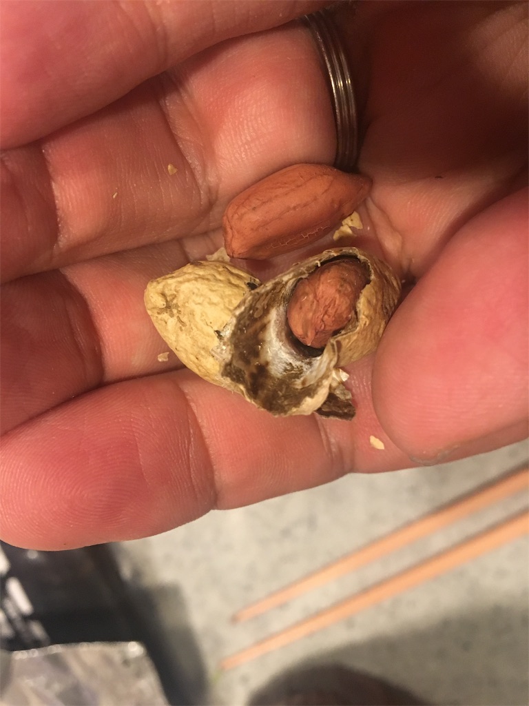 f:id:usbbqgrill:20191119031513j:image f:id:usbbqgrill:20191119031513j:image