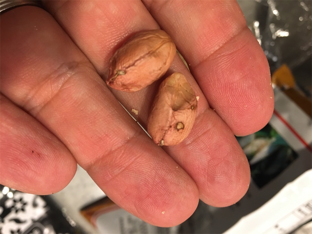 f:id:usbbqgrill:20191119031517j:image f:id:usbbqgrill:20191119031517j:image