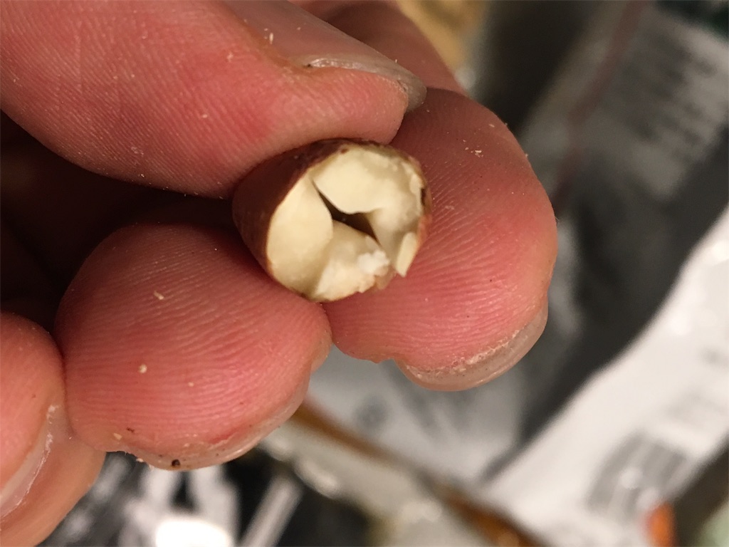 f:id:usbbqgrill:20191119031523j:image f:id:usbbqgrill:20191119031523j:image