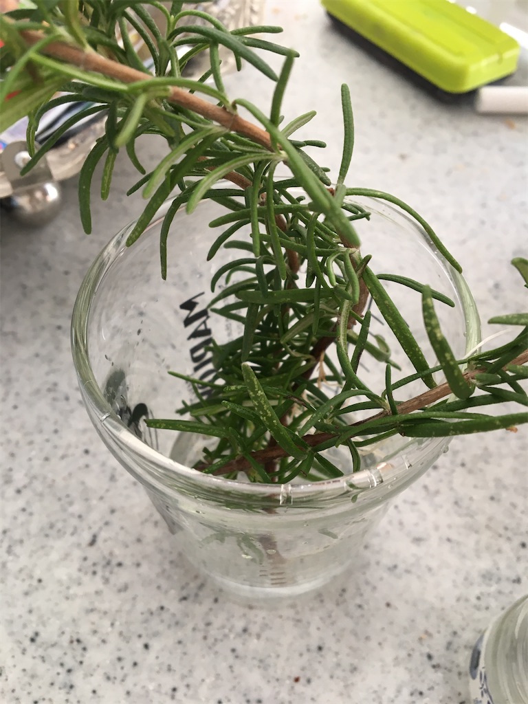 f:id:usbbqgrill:20191215130519j:image