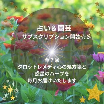 タロット占い＆園芸のサブスク (2).jpg