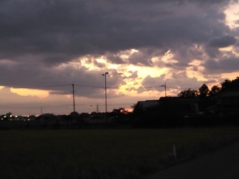 IMG_20240817_184713.jpg