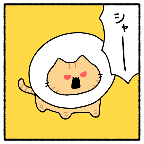 MDZY7407