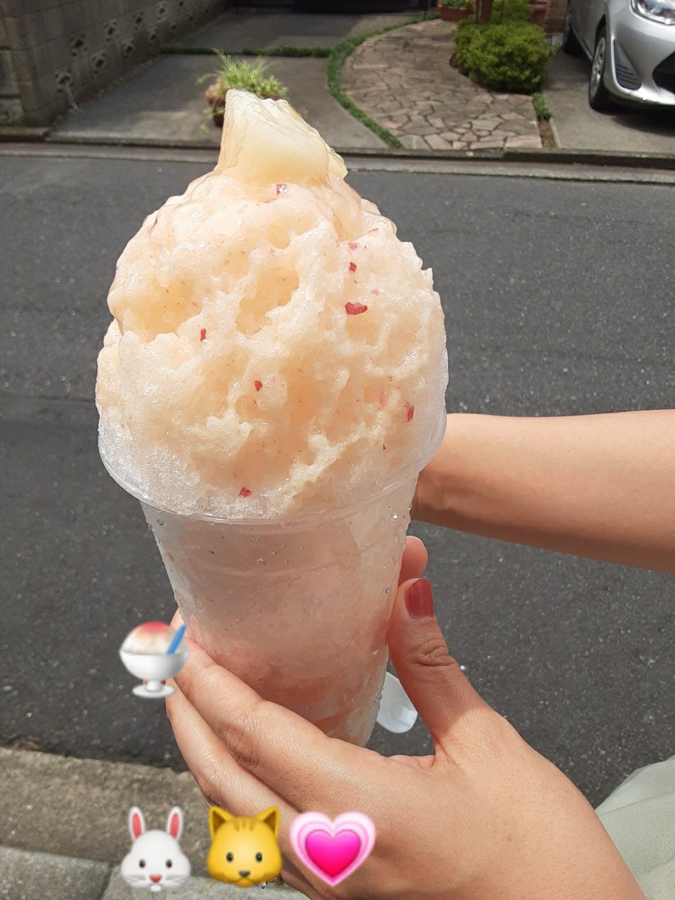 f:id:ushaneko:20200810182758j:image f:id:ushaneko:20200810182758j:image