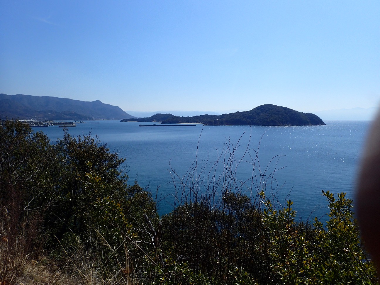 f:id:ushi4026:20260311212541j:image