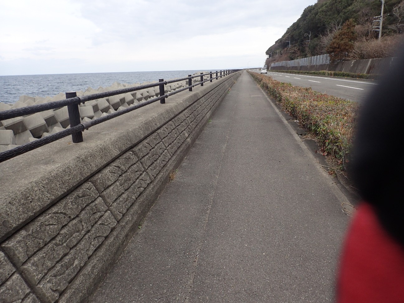 f:id:ushi4026:20260313174926j:image