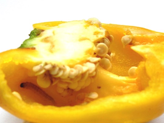 f:id:ushidama:20170804143428j:plain f:id:ushidama:20170804143428j:plain