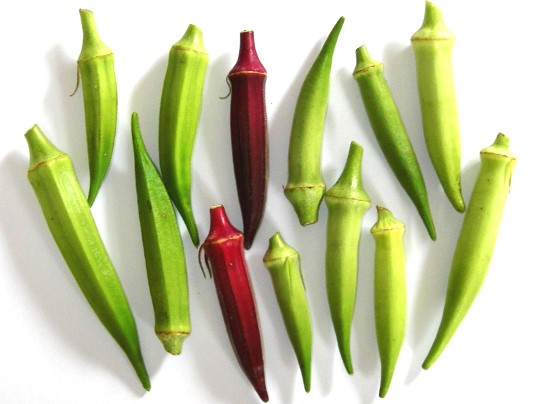 f:id:ushidama:20170807123322j:plain