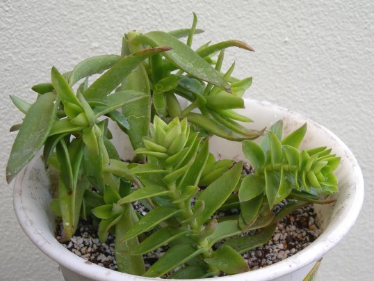 f:id:ushidama:20170928205806j:plain f:id:ushidama:20170928205806j:plain