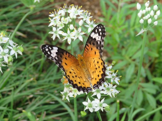 f:id:ushidama:20180917151946j:plain