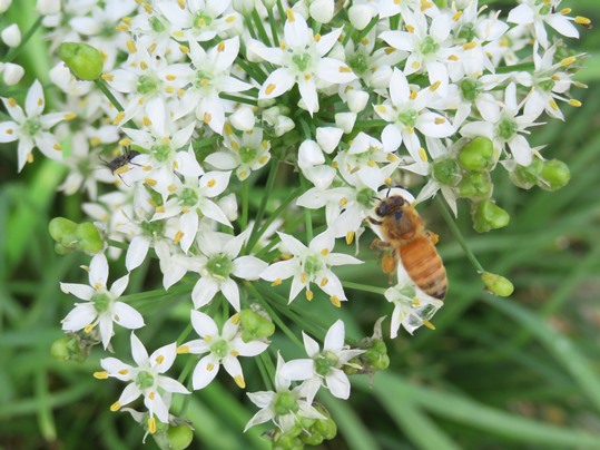 f:id:ushidama:20180917152029j:plain