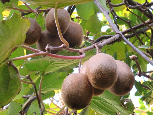 f:id:ushidama:20180923142728j:plain f:id:ushidama:20180923142728j:plain