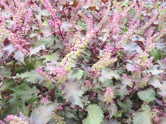 f:id:ushidama:20180928052129j:plain