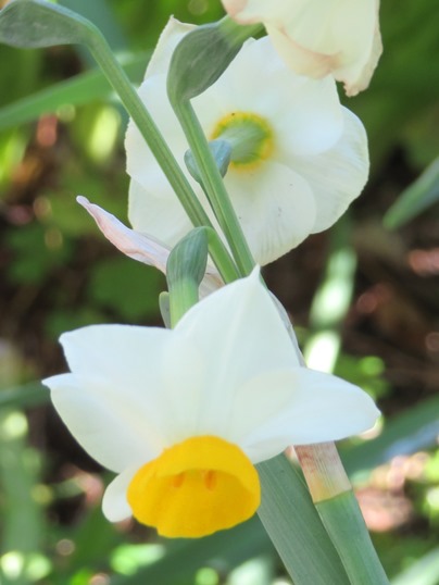 f:id:ushidama:20190311064923j:plain f:id:ushidama:20190311064923j:plain