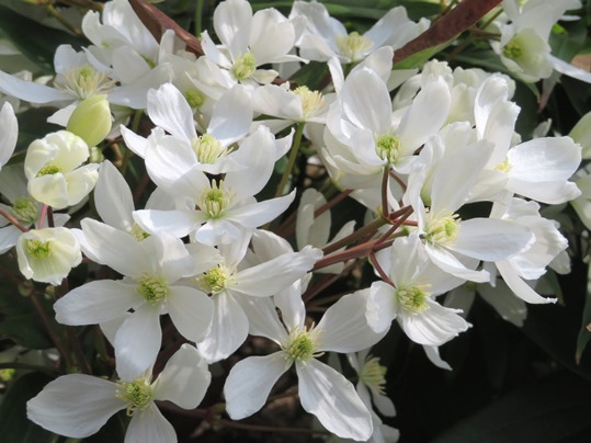 f:id:ushidama:20190402091531j:plain