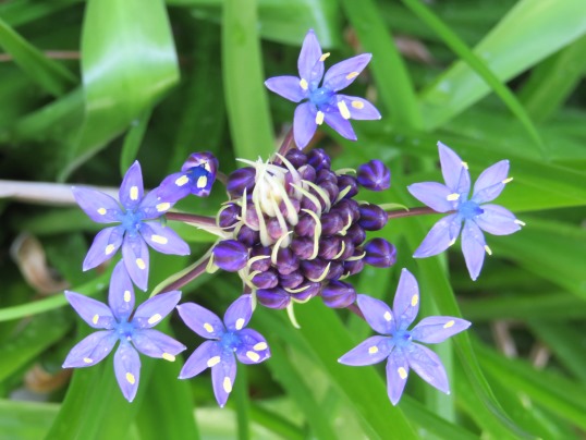 f:id:ushidama:20190427080225j:plain