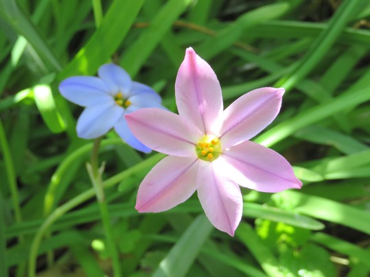 f:id:ushidama:20190427081445j:plain