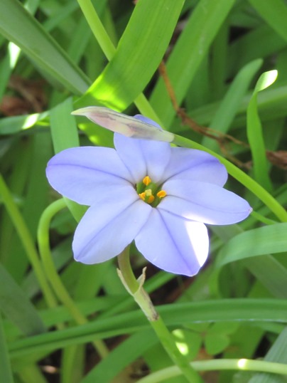 f:id:ushidama:20190427081459j:plain