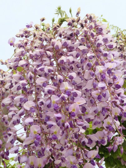f:id:ushidama:20190429065910j:plain