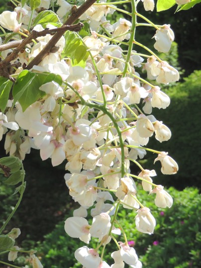 f:id:ushidama:20190429070038j:plain